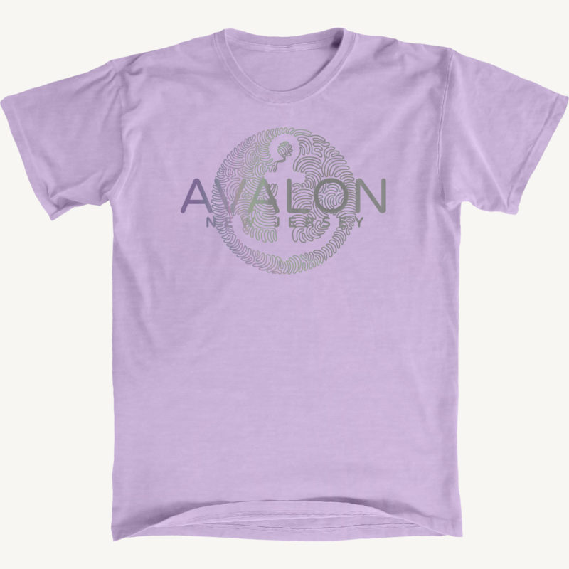 Avalon Anchor