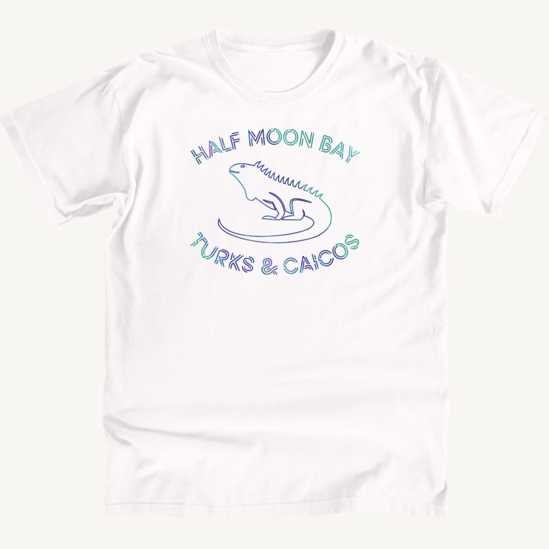 Half Moon Bay Iguana