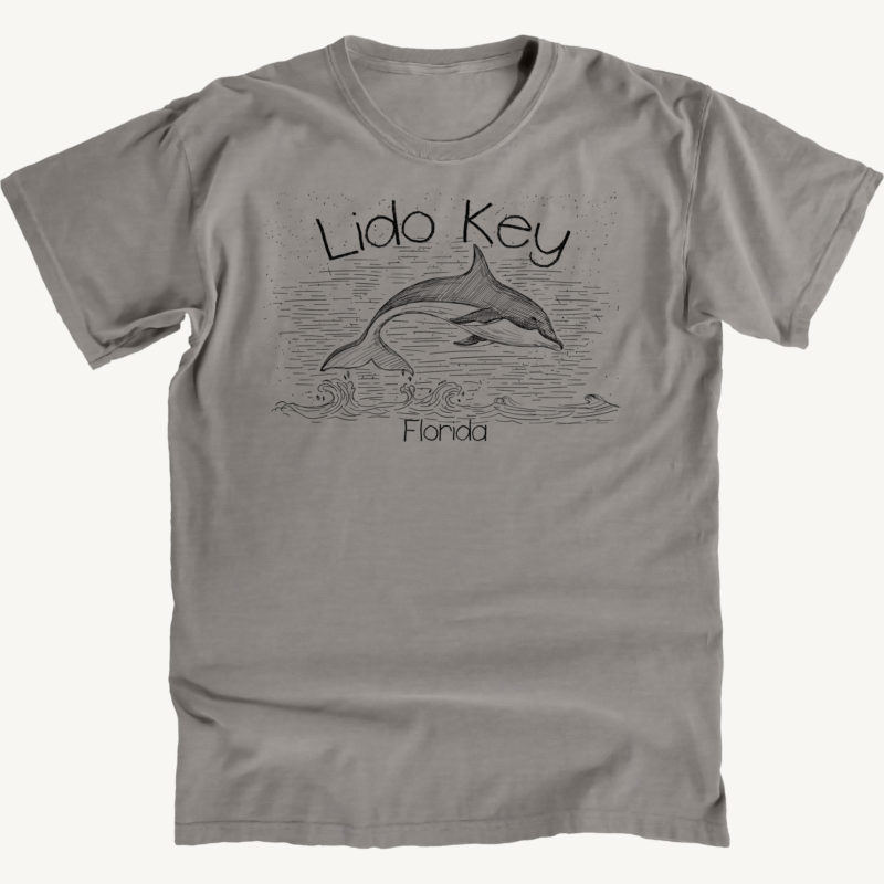 Lido Key Dolphin