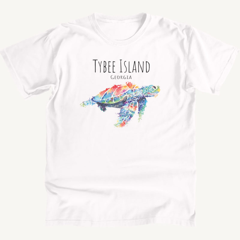 Tybee Island Turtle
